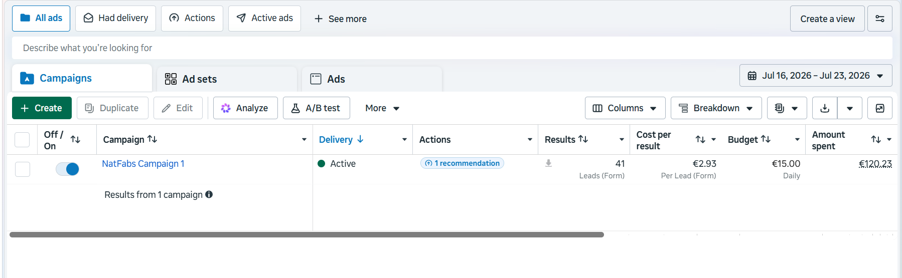 Meta Ads Manager dashboard showing 41 leads generated for NatFabs